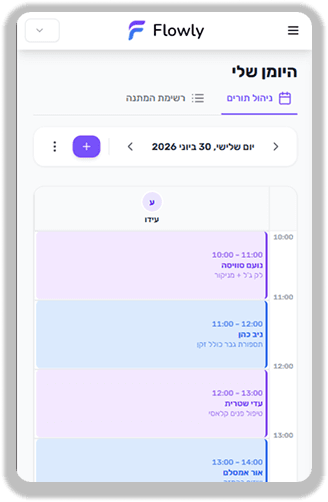 דוגמא להמחשת יומן פגישות